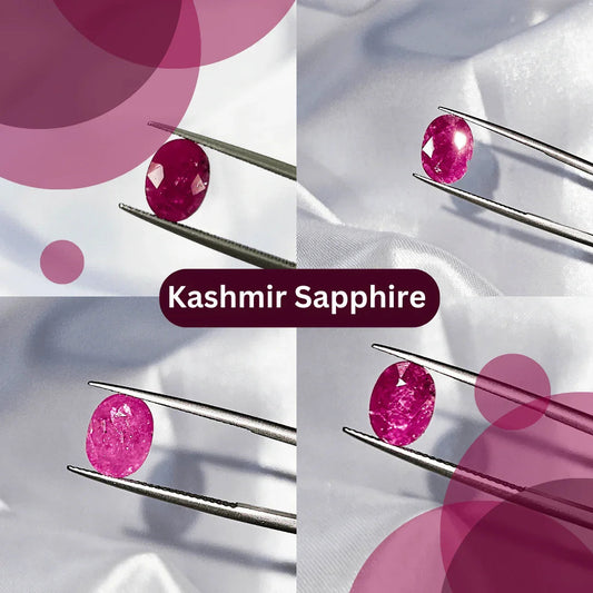 Oval Kashmir sapphire gemstone held by tweezers on white fabric background, close-up